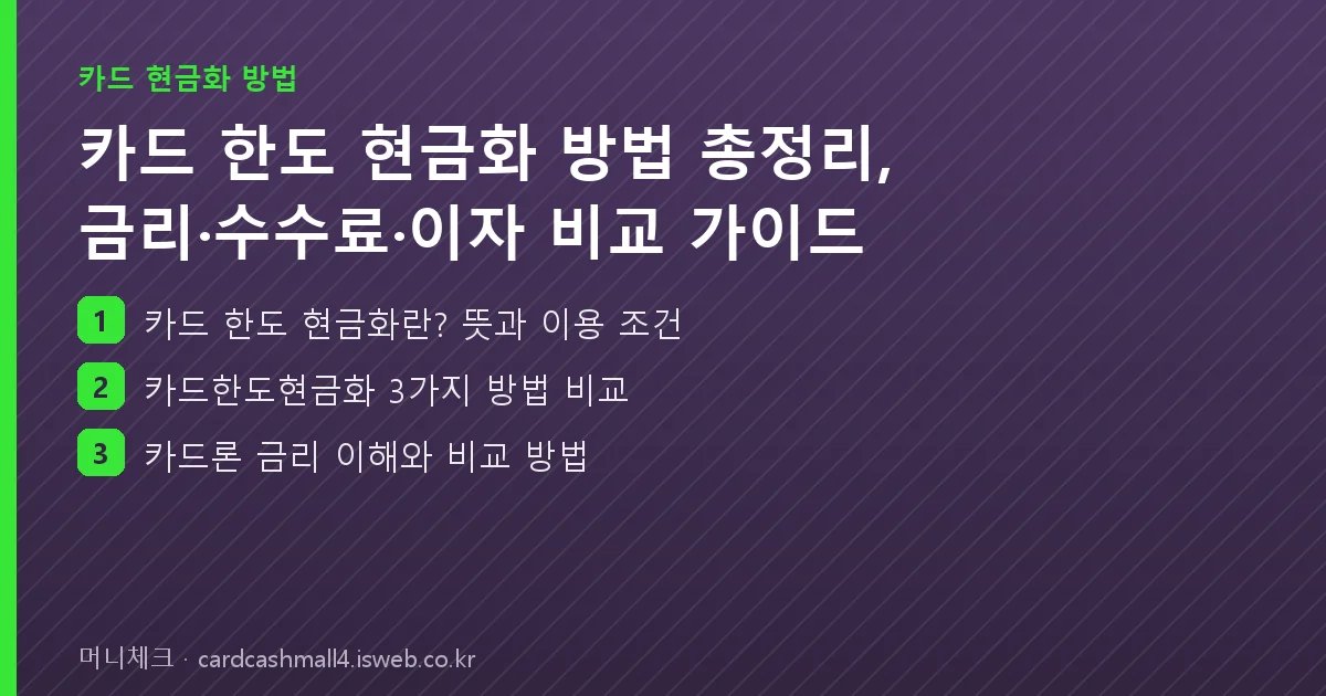 카드 한도 현금화 방법 총정리 핵심 내용을 정리한 요약 카드