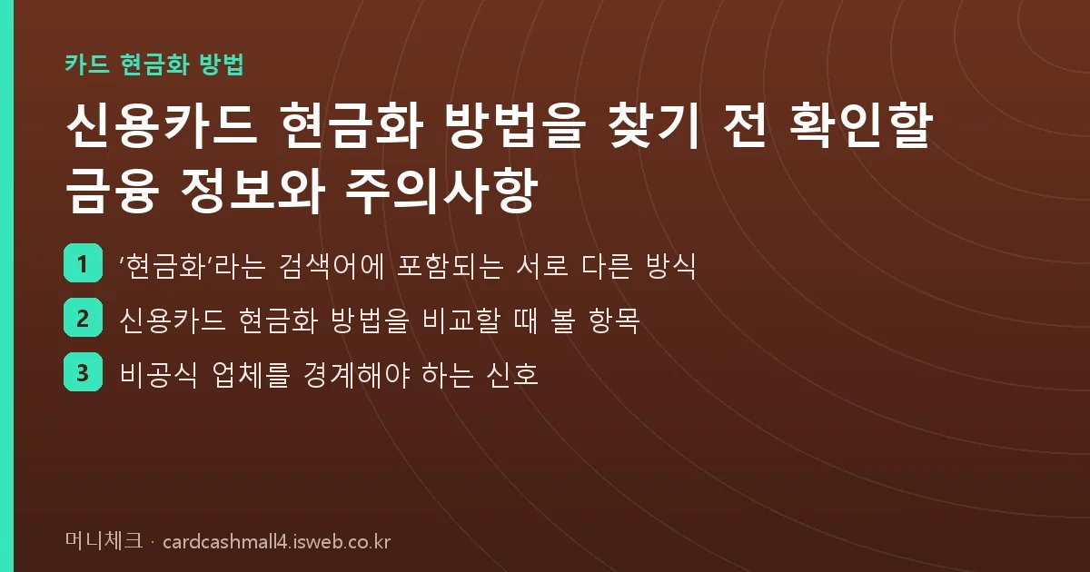 신용카드 현금화 방법을 찾기 전 확인할 금융 정보와 주의사항 핵심 내용을 정리한 요약 카드