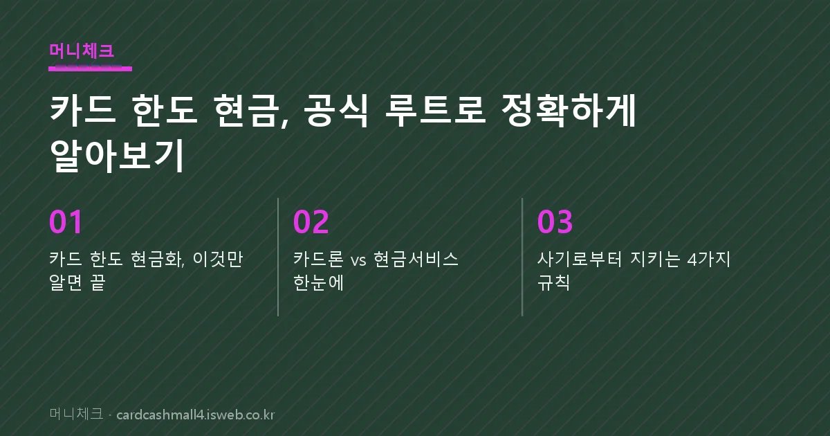 머니체크에서 안내하는 카드 한도 현금 핵심 내용 요약 카드