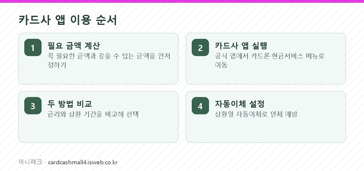 카드사 앱에서 공식 카드 대출을 이용하는 4단계 순서