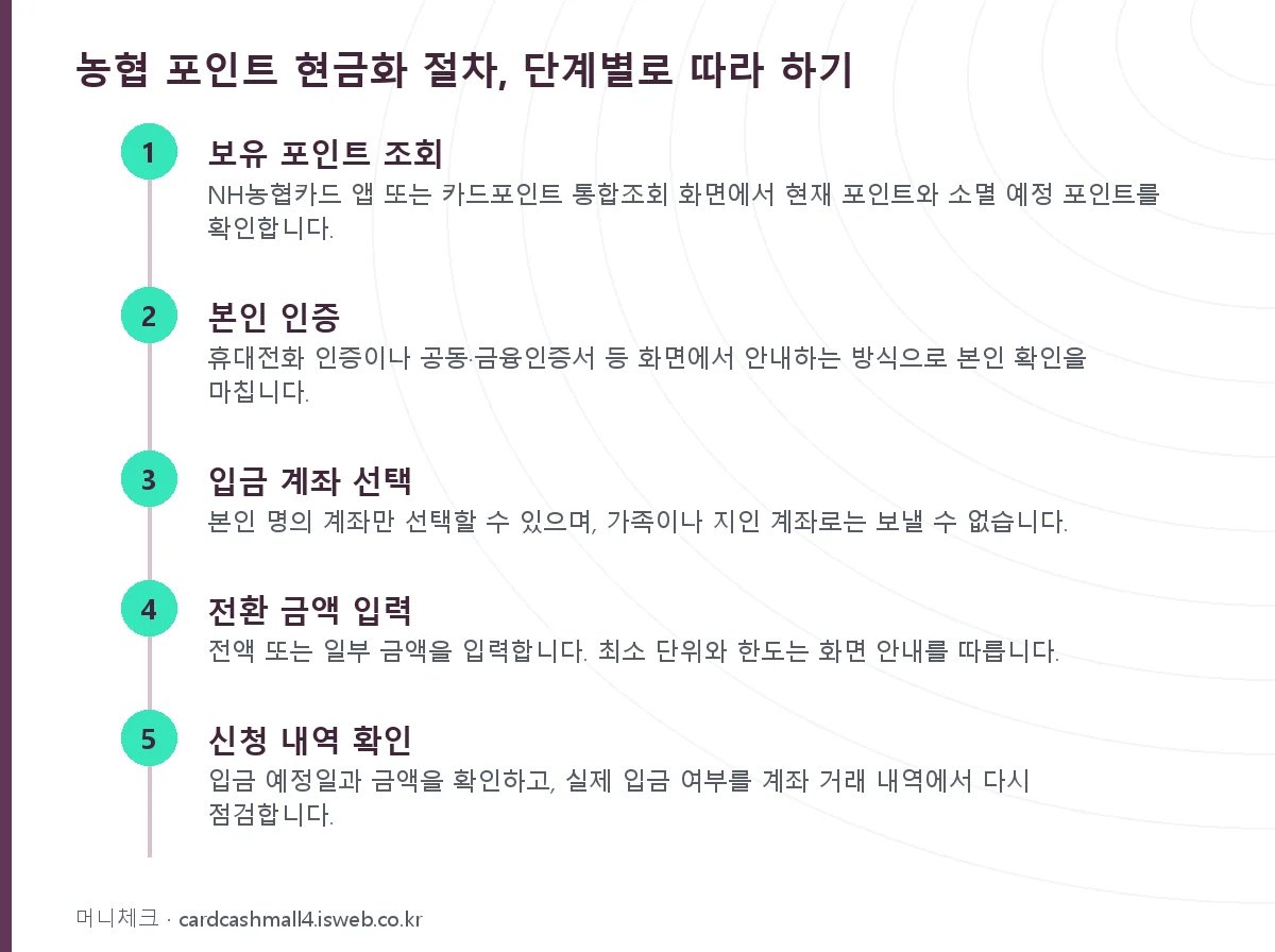 농협 포인트 현금화 절차, 단계별로 따라 하기 단계를 순서대로 정리한 그림
