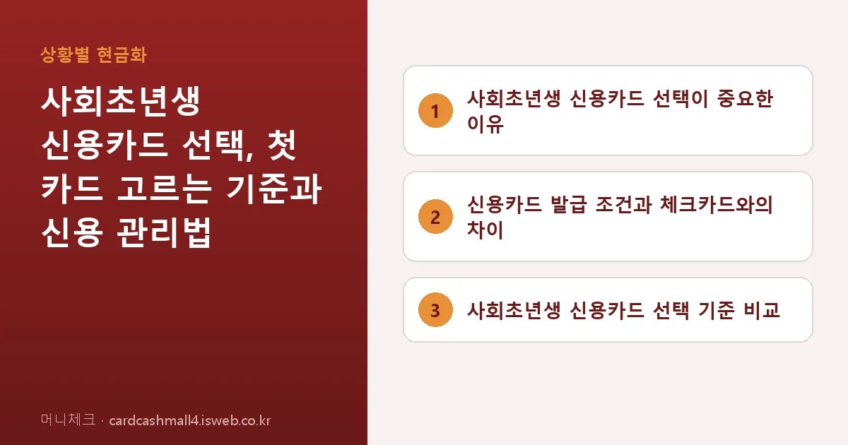 사회초년생 신용카드 선택 핵심 내용을 정리한 요약 카드
